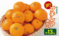 訳あり プチレア みかん 約 13kg （ 小玉サイズ ） | 果物 くだもの フルーツ 柑橘 柑橘類 みかん ミカン 大小混合 熊本県 玉名市