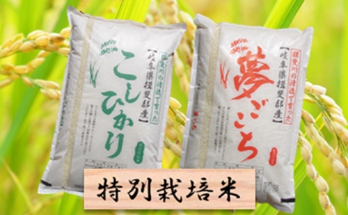令和3年産 特別栽培米★白米10kg【コシヒカリ・夢ごこち】