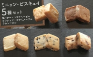 【Cafe悠花】ミニョン・ビスキュイ　塩バター・ココアヘーゼル・ココナッツ・セサミメープル・ラムレーズン　5種セット