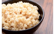 Z-949 鹿児島県産玄米ごはんセット（レンジ対応）