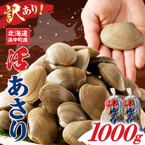 【訳あり】1月～3月発送分《先行予約・期間限定》浜中町産活あさり(500g×2袋セット)_H0023-048 1343107 - 北海道浜中町