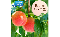 6-111 新鮮なフルーツをクール便発送　桃　2kg（5～7玉）
