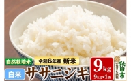 〈先行予約 令和6年産 新米〉自然栽培米「ササニシキ」精米 9kg 天日干し 農薬・肥料不使用