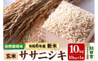 〈先行予約 令和6年産 新米〉自然栽培米「ササニシキ」玄米10kg 天日干し 農薬・肥料不使用