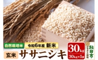 〈先行予約 令和6年産 新米〉自然栽培米「ササニシキ」玄米 30kg 天日干し 農薬・肥料不使用