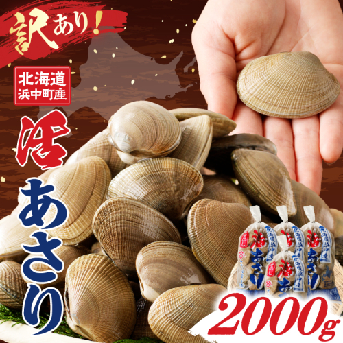 【訳あり】1月～3月発送分《先行予約・期間限定》浜中町産活あさり(500g×4袋セット)_H0023-052 1343163 - 北海道浜中町