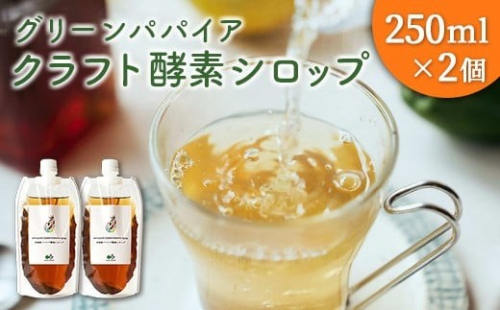 クラフト酵素シロップ グリーンパパイア 250ml×2個 宮崎県産 1343188 - 宮崎県宮崎県庁