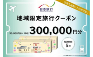 岐阜県高山市　日本旅行　地域限定旅行クーポン300,000円分 | 高山市への旅行に使える割引クーポン 旅行 割引 クーポン チケット 宿泊 飛騨高山 株式会社日本旅行 NU006