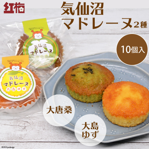 【和菓子職人が作る】気仙沼マドレーヌ 2種10個 [菓匠 紅梅 宮城県 気仙沼市 20563591] 菓子 お菓子 おやつ マドレーヌ ゆず 小分け 常温 134515 - 宮城県気仙沼市