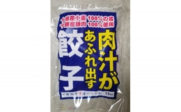 隔月発送の定期便です。十勝小麦100%使用したモチモチ食感の皮に、十勝産豚肉を贅沢に使用したあんに更に肉汁スープをたっぷりと噛めば肉汁があふれ出します!おすすめの食べ方は、蒸し器で約8分で小籠包風の蒸