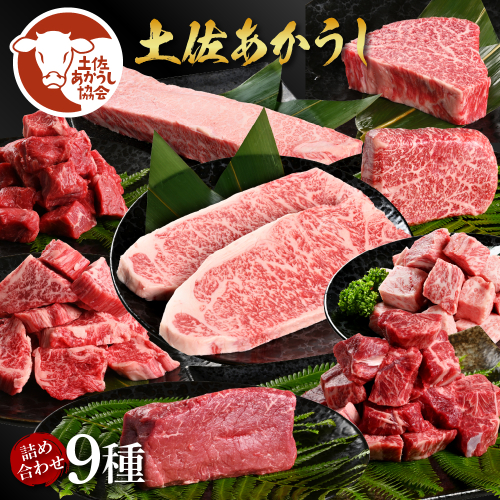 土佐あか牛協会が認定する「土佐熟成あかうし」詰め合わせ9種（合計6.6kg）サイコロステーキ ロース カルビ スネ ヒレ シャトーブリアン サーロイン ブロック肉 特選 赤身 牛 牛肉 和牛 国産 天下味 エイジング工法 熟成肉 1345759 - 高知県芸西村