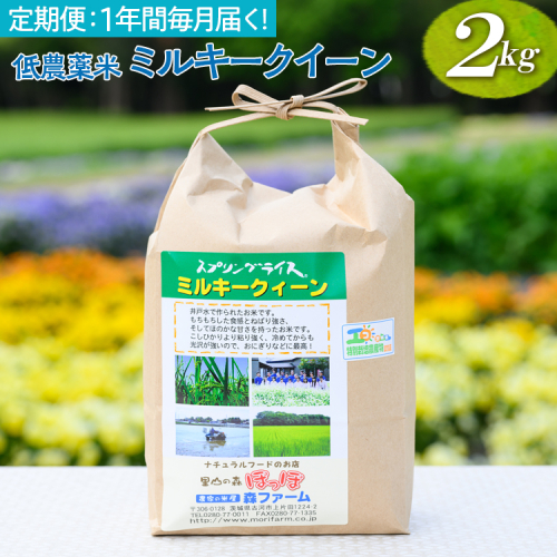 【新米】【定期便】1年間毎月届く！低農薬米ミルキークイーン2kg | 米 こめ コメ 2キロ 定期便 低農薬米 ミルキークイーン みるきーくいーん 古河市産 茨城県産 贈答 贈り物 プレゼント 茨城県 古河市 直送 農家直送 産地直送 送料無料 _BI93 1346335 - 茨城県古河市