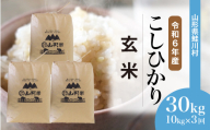 ＜令和6年産米 早期受付＞ 鮭川村 コシヒカリ 【玄米】 30kg 定期便（10kg×3回発送）＜配送時期選べます＞