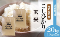 ＜令和6年産米 早期受付＞ 鮭川村 コシヒカリ 【玄米】 20kg （10kg×2袋）＜配送時期選べます＞