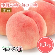 【8月中旬～8月下旬発送予定】津軽の桃　旬の白桃約3kg