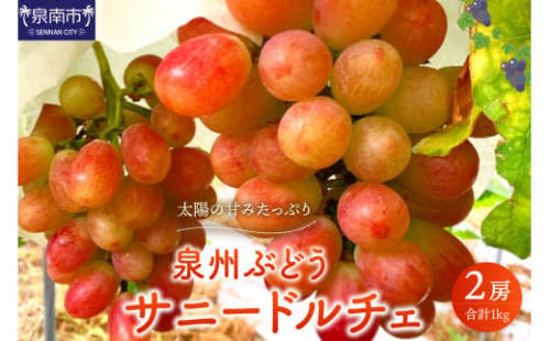 泉州ぶどう 太陽の甘みたっぷりサニードルチェ【065D-018】 1347057 - 大阪府泉南市