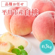 【品種お任せ　８月～９月発送予定】平川市産白桃　約3kg