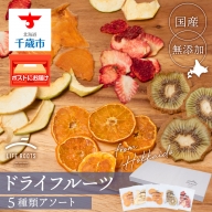 《 国産 》無添加 ドライフルーツ アソート 5種類　各1袋 果物 フルーツ ギフト 千歳 北海道