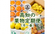 【E06014】高知の果物定期便(冬～春)