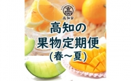 【E06015】高知の果物定期便(春～夏)