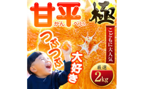 ＜甘みぎっっしり!＞シャキシャキ甘い♪♪＜甘平＞2kg＜C49-63＞【1509766】