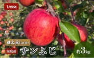 【1月発送】權之丞farm サンふじ 家庭用 約3kg【弘前市産・青森りんご】