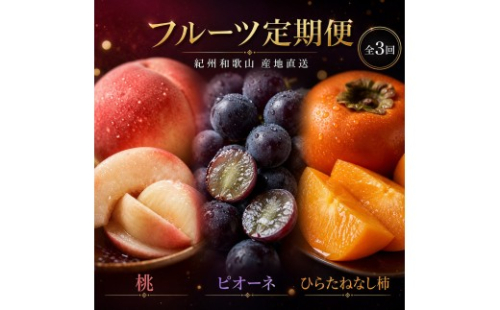 【7・8・10月 全3回】紀州和歌山産旬のフルーツセット（桃・ピオーネ・ひらたねなし柿）定期便 【魚鶴商店】【UT67】 1348500 - 和歌山県高野町