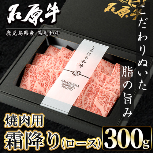 石原牛 霜降りロース 焼肉用(300g) 黒毛和牛 国産 九州産 鹿児島県産 ブランド牛 焼肉 BBQ 牛肉 和牛 霜降り ロース 冷凍 贅沢 贅沢な一品 贈答用 ギフト用【株式会社石原PRO】akn083-07 1348546 - 鹿児島県阿久根市