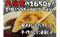 008-009　新美味　ジャンボ餃子