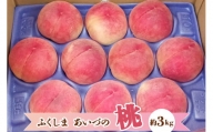桃 約3kg (季節の果物)｜2024年産 桃 もも フルーツ 果物 産直 会津産 数量限定 [0400]