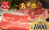 くまもとあか牛切り落とし徳用 500g×2パック 計1kg 熊本県 ブランド牛 肉 ヘルシー 赤身 牛肉 大容量 熊本県 ブランド あかうし 牛肉 用途多彩 きりおとし 105-0516