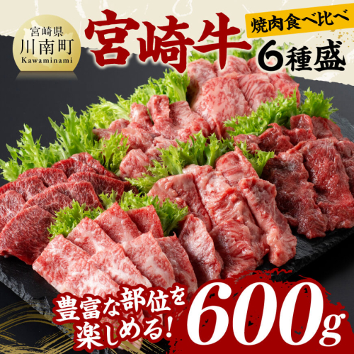 宮崎牛 焼肉 食べ比べ 6種盛 600g【 肉 牛肉 国産 宮崎県産 黒毛和牛 和牛 焼肉 バーベキュー 】 1349271 - 宮崎県川南町