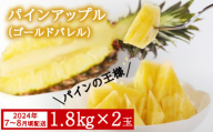 今帰仁産パインアップル(ゴールドバレル)1.8kg×2玉