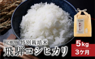 【定期便】飛騨コシヒカリ 5kg×3ヶ月 特別栽培米 うまいうまい飛騨の米 | 白米 お米 節減農薬米 のし対応 飛騨高山 ファームジネンいいむら GG006