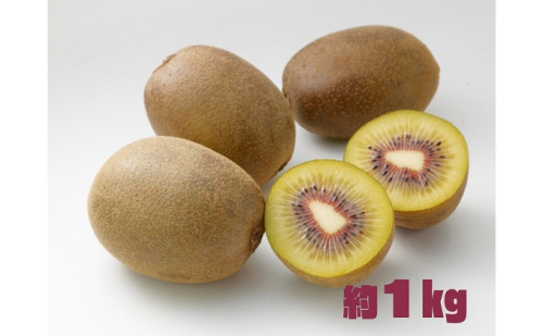【 小豆島 】 さぬきエンジェル スイートキウイ 約1kg 化粧箱 フルーツ 果物 キウイ キウイフルーツ さぬき くだもの 国産 香川 香川県 土庄 土庄町 134966 - 香川県土庄町