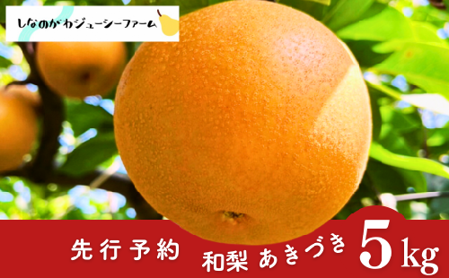 先行予約 和梨 あきづき 約5kg 令和8年度 新潟県 三条市産 梨 [しなのがわジューシーファーム]【015S133】