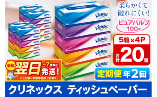 《6ヶ月ごとに2回お届け》定期便 ティッシュ クリネックス 20箱 5箱×4パック 秋田市オリジナル 最短翌日発送 【レビューキャンペーン中】