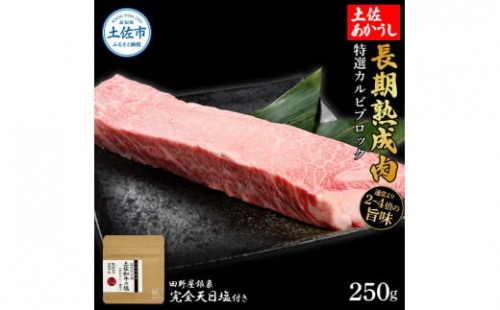 特選 カルビブロック 土佐あかうし 長期熟成肉 250g 田野屋銀象 完全天日塩付き カルビ 牛肉 ブロック 肉 お肉 和牛 国産 牛 熟成肉 ブロック肉 豪華 贅沢 真空パック 冷凍配送 1350510 - 高知県土佐市