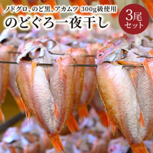 【海鮮の匠　魚政】のどぐろ一夜干し（ノドグロ、のど黒、アカムツ）300g級使用 干し上がり後 210g以上 3尾セット
 1350649 - 京都府京丹後市