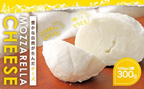 KUMAMOTO モッツァレラ 3個セット 300g（100g×3個）チーズ 生乳 乳製品 1350653 - 熊本県益城町