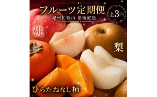 【7・8・10月 全3回】紀州和歌山産旬のフルーツセット（桃・梨・ひらたねなし柿）定期便 【魚鶴商店】【UT68】 1350685 - 和歌山県九度山町