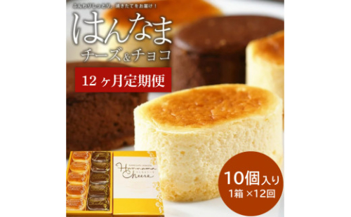 【12回定期便】はんなまチーズ5個・はんなまちょこ5個(H-32) 1350757 - 茨城県行方市