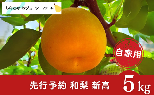 先行予約 和梨 新高 自家用 約5kg 令和8年度 新潟県 三条市産 梨 [しなのがわジューシーファーム]【010S491】 1350765 - 新潟県三条市
