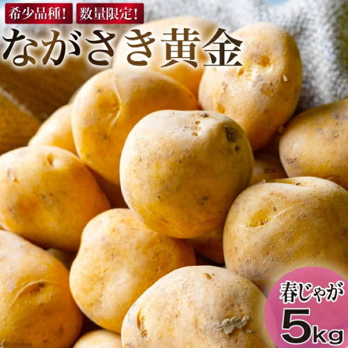 【期間限定発送】 じゃがいも ながさき黄金 5kg ( 春じゃがいも ) [南串ながさき黄金生産組合 長崎県 雲仙市 item1356] ジャガイモ 春ジャガイモ 野菜 5キロ 期間限定 1350816 - 長崎県雲仙市