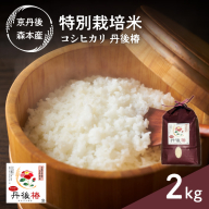 令和6年産 特別栽培米コシヒカリ 丹後椿（京丹後森本産） 2kg