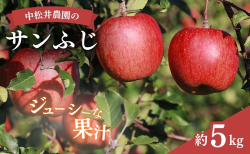 中松井農園のサンふじ　約5kg 長野 小諸 信州 リンゴ 林檎 果物類 りんご 135084 - 長野県小諸市