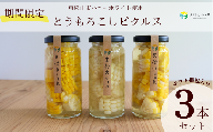 [期間限定・10個限定]東松山ハニーホワイト とうもろこしピクルス3本セット | ピクルス 減農薬 旬の野菜 季節野菜 管理栄養士 常備菜 和風 洋風 ハニー おしゃれ 可愛い お土産 管理栄養士 無添加 送料無料 漬物 サラダ ビネガー 保存食 サイドディッシュ 美しい ヘルシー ギフト プレゼント お中元 贈り物 父の日 母の日 東松山ふぉれ 東松山市 埼玉県