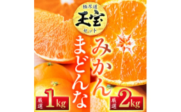 〜 三つの太陽に照らされて 〜愛媛のみかんは太陽と海、そして、石垣からの反射熱、これを三つの太陽と呼んでいます。様々な方向から光を浴びたみかんの樹は、糖のある美味しいみかんができるのです。また、ミネラ