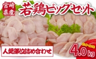 【人気部位詰め合わせ】宮崎県産若鶏4kgビッグセット（若鶏 国産 モモ ムネ ササミ 小分け 大容量 冷凍）