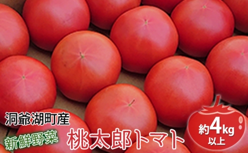 洞爺湖の新鮮野菜「桃太郎トマト」約4kg以上(24～18玉)  ※6月末頃より順次出荷 135125 - 北海道洞爺湖町